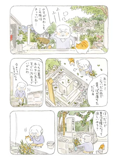 うちの墓は木の下にあるで　すぐに汚れるでいかんわ