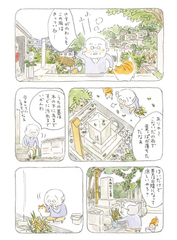 うちの墓は木の下にあるで　すぐに汚れるでいかんわ