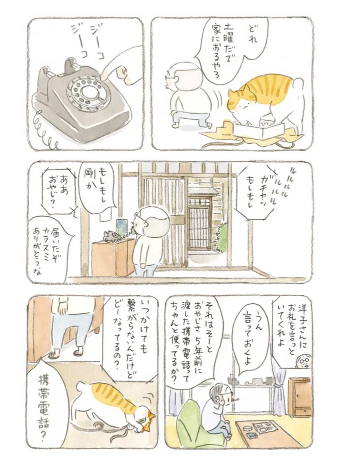 携帯電話？