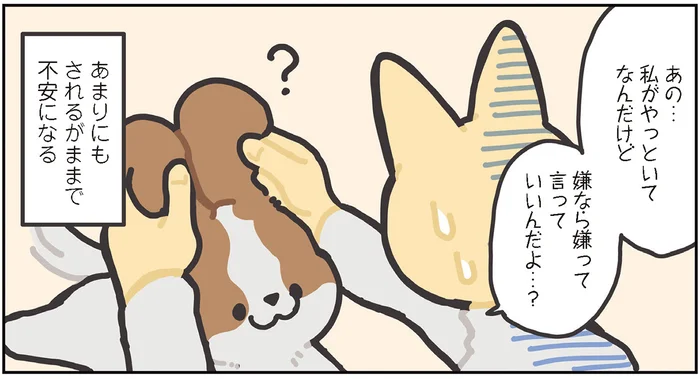 されるがままだけど大丈夫？ 変幻自在なキャバリアの耳に戸惑う／うちのキャバリアは番犬にならない（2）