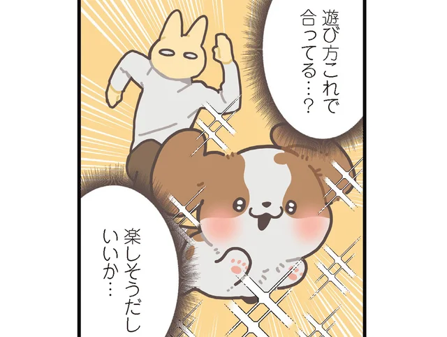 楽しそうだしいいか。「とってこい遊び」で特殊な遊び方をする犬／うちのキャバリアは番犬にならない（5）