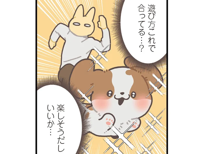 楽しそうだしいいか。「とってこい遊び」で特殊な遊び方をする犬／うちのキャバリアは番犬にならない（5）