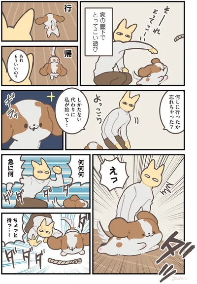遊び方それで合ってる？ 全くおもちゃを渡す気のないキャバリア