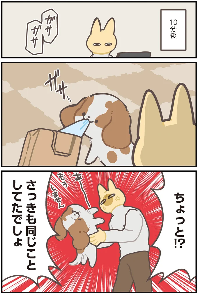 さっきも同じことしてたでしょ