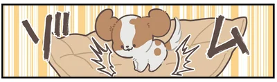 ゾム