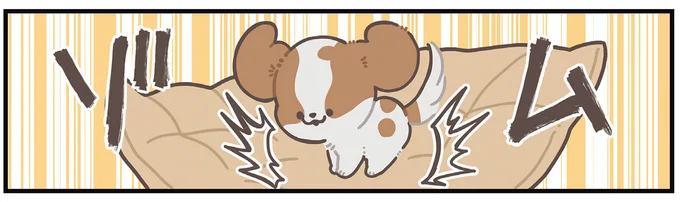 ゾム