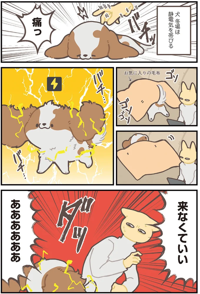 来なくていい