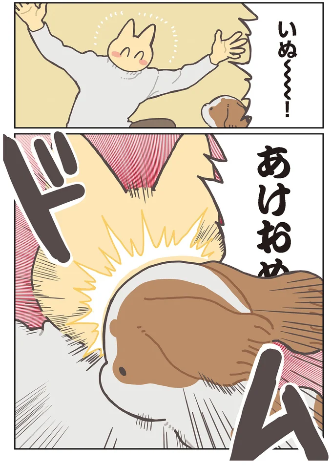 いぬ～！