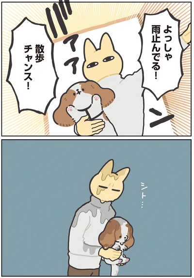 散歩チャンス！
