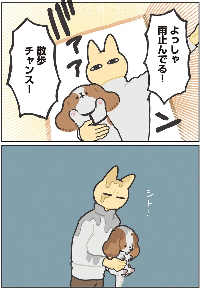 散歩チャンス！