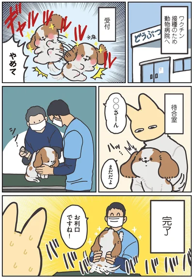 お利口ですね！