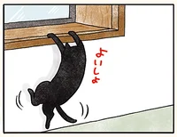 ジャンプしないの!? 猫っぽさのない仕草で出窓に乗って驚かれる猫／黒猫ナノとキジシロ猫きなこ（1）