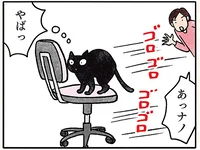 「イスで寝よう」危ない！ 猫がキャスター付イスへ向かったら／黒猫ナノとキジシロ猫きなこ（2）