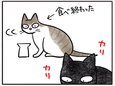 食べ終わったきなこ
