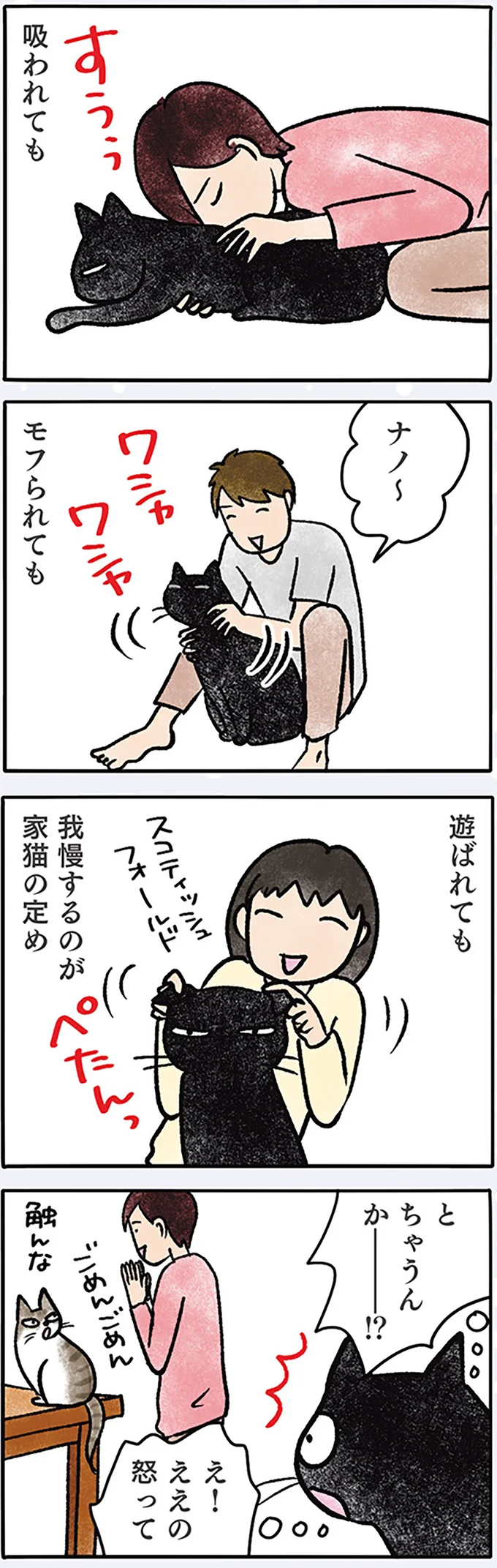 布団のど真ん中に陣取る猫! 飼い主はどこで寝ればいいんですか!?/黒猫ナノとキジシロ猫きなこ(5)(画像3/4)