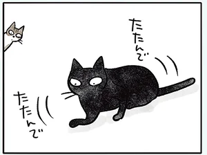 「ここにしよ」ゴロンと寝転がる前に入念に準備をする猫／黒猫ナノとキジシロ猫きなこ（8）
