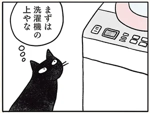 洗濯機の上を目指す猫。しかし、計算どおりとはいかないようで？／黒猫ナノとキジシロ猫きなこ（9）