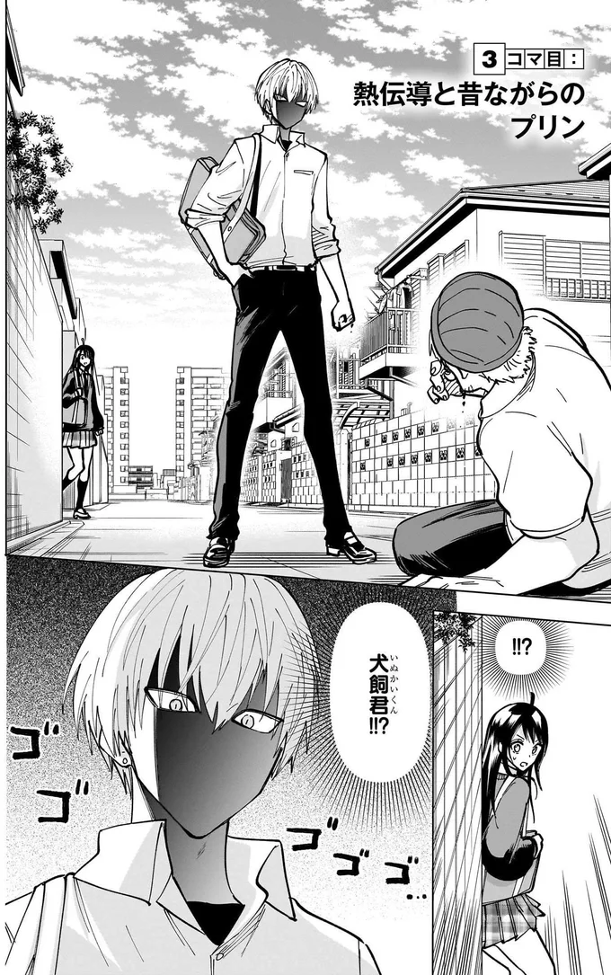 熱伝導と昔ながらのプリン