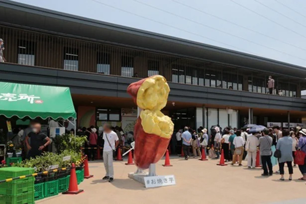  「道の駅 常総」の広場には大きなお芋のオブジェも