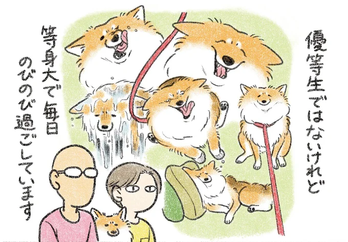 優等生ではないけれど