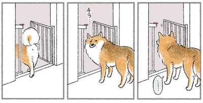 チラ…