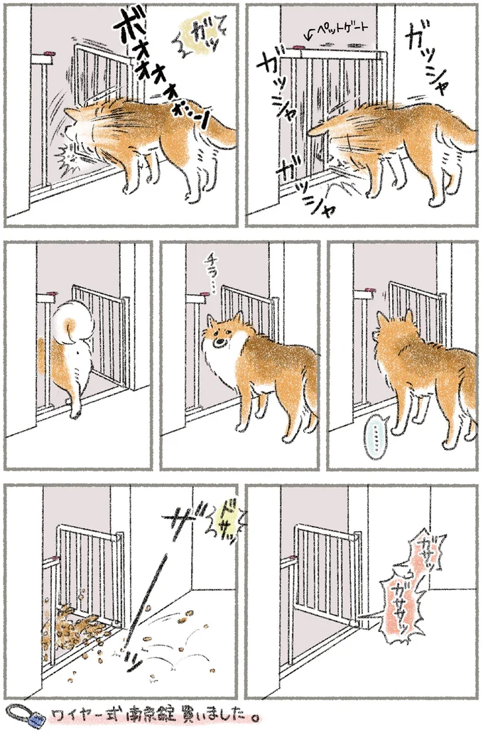 キッチン侵入事件