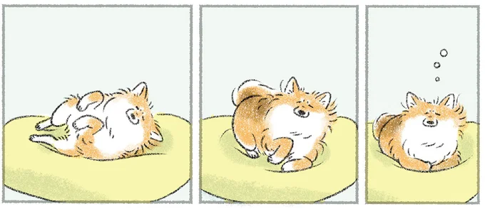寝ぼけてる…？