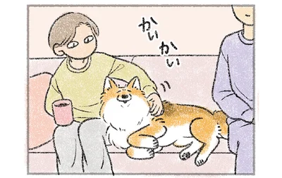 かいかい