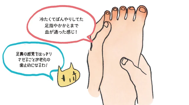 歩くとすぐ疲れる原因は靴じゃない。足裏の感覚を取り戻そう／あぶら身をごっそり落とすきくち体操（2）