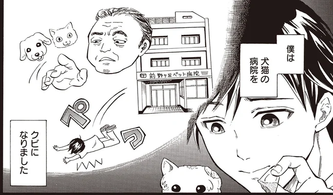 僕は犬猫の病院をクビになりました