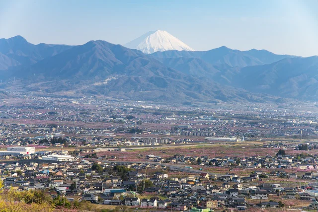 極上の桃の産地として知られる山梨県笛吹市