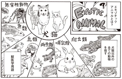 エキゾチックアニマルとは？