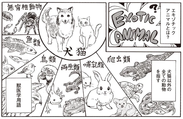 犬猫以外の動物すべてが診療対象。「エキゾチックアニマル」専門病院の修羅場に遭遇！／珍獣のお医者さん（2）