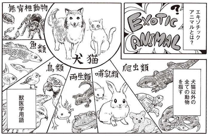 犬猫以外の動物すべてが診療対象。「エキゾチックアニマル」専門病院の修羅場に遭遇！／珍獣のお医者さん（2）