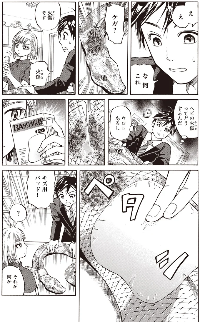 ヘビの火傷ってどうするんだ