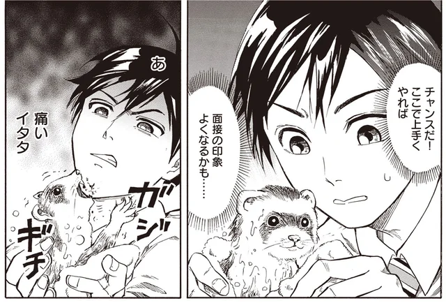 面接に来たはずが即実践!?火災に遭った「エキゾチックアニマル」を救え！／珍獣のお医者さん（3）