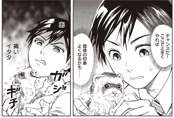 面接に来たはずが即実践!?火災に遭った「エキゾチックアニマル」を救え！／珍獣のお医者さん（3）