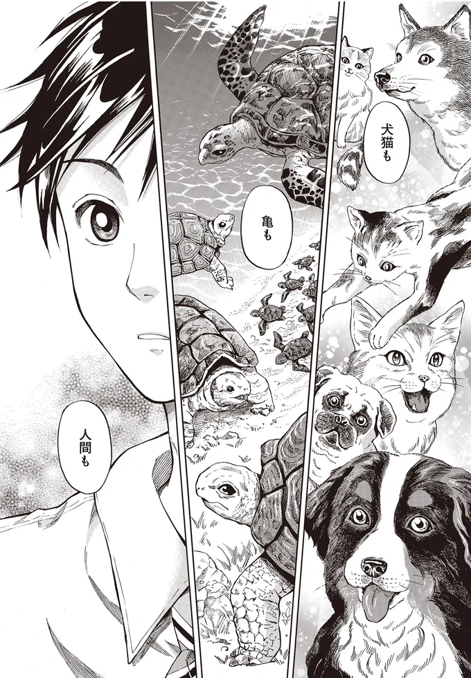 犬猫も　亀も　人間も