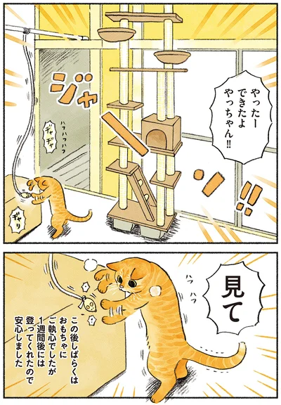 やったーできたよ！見て！！