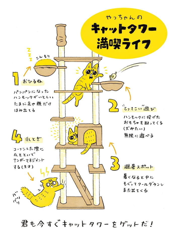 キャットタワー満喫ライフ