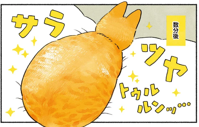 ブラッシングが苦手な愛猫。高級ブラシを使ってみたら最高の仕上がりに！／茶トラのやっちゃんとちーちゃん（3）