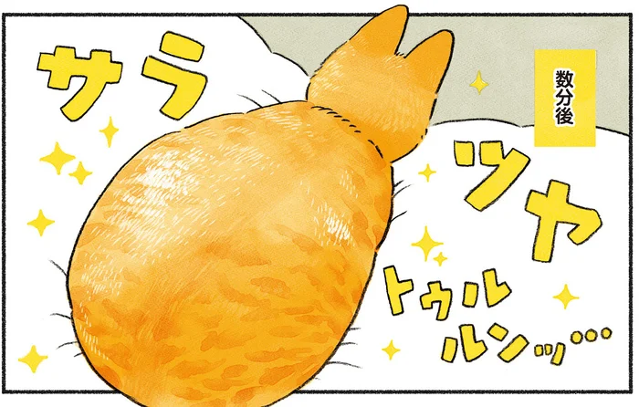 ブラッシングが苦手な愛猫。高級ブラシを使ってみたら最高の仕上がりに！／茶トラのやっちゃんとちーちゃん（3）