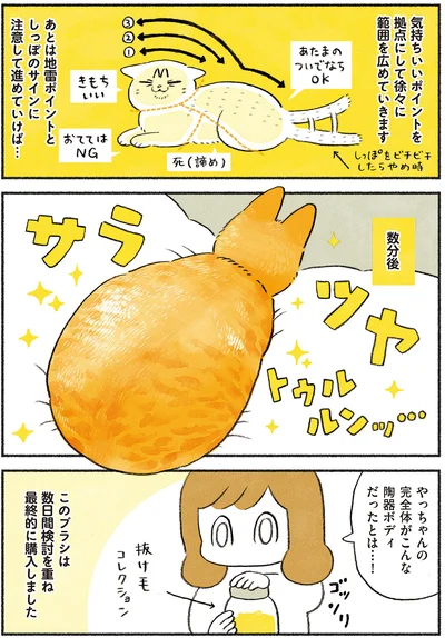 これは完全体…