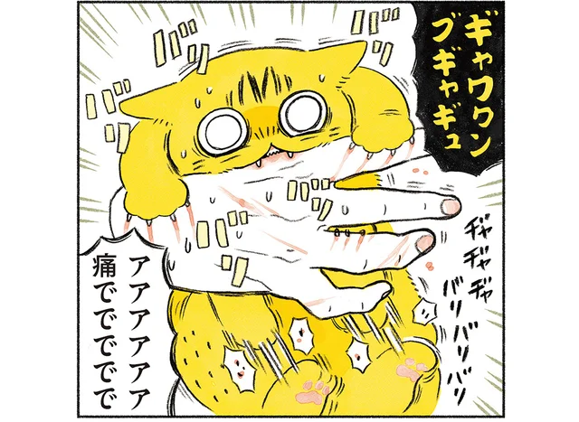 爪切りが大の苦手なうちの猫。どうにか切らせてほしいのに抵抗が激しい！／茶トラのやっちゃんとちーちゃん（4）