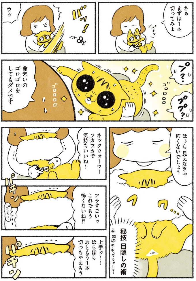 見えなきゃ怖くないでしょ？