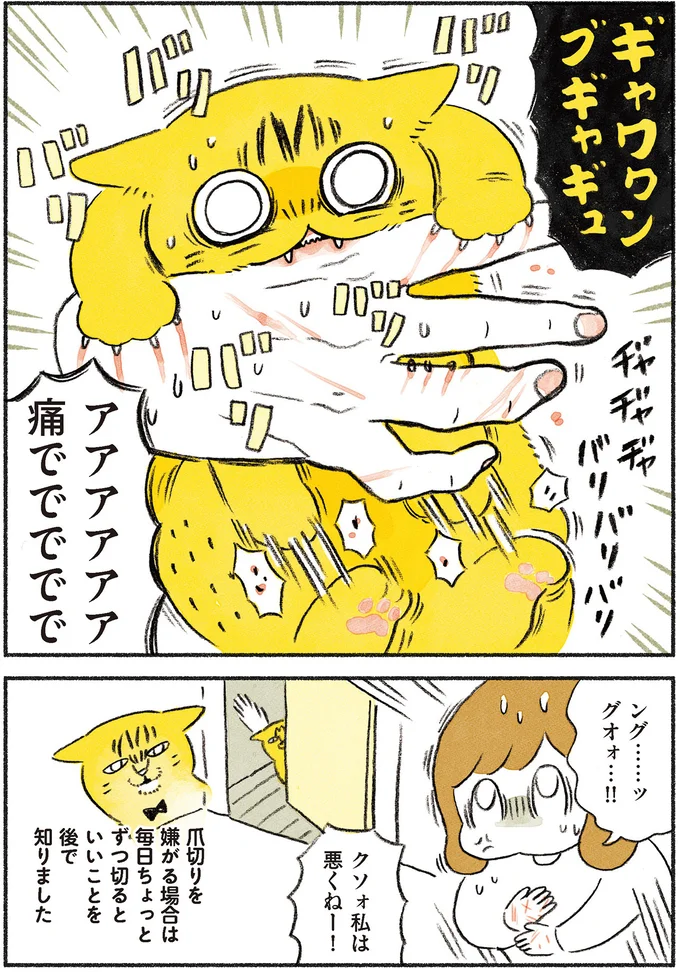 私は悪くねー！