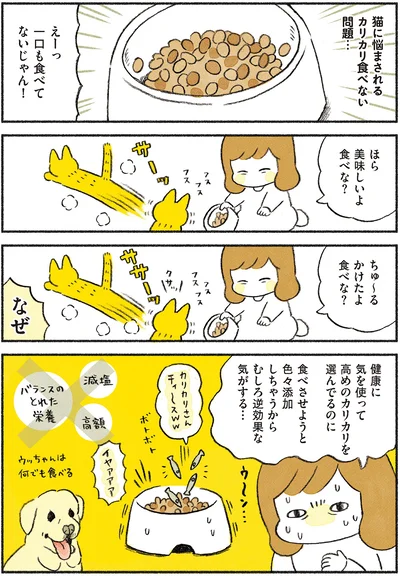 一口も食べてないじゃん！