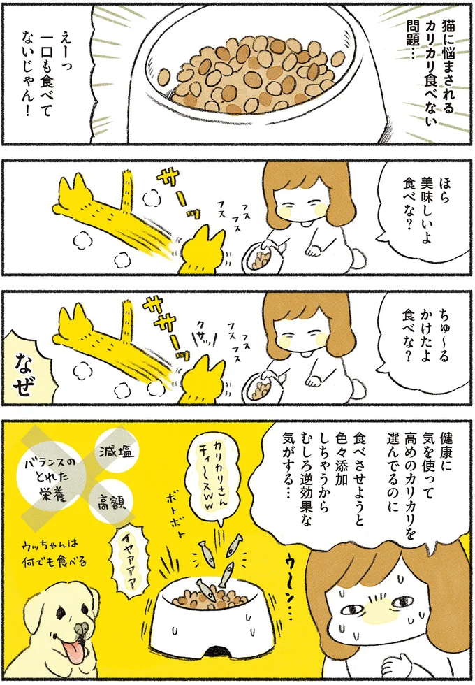 一口も食べてないじゃん！