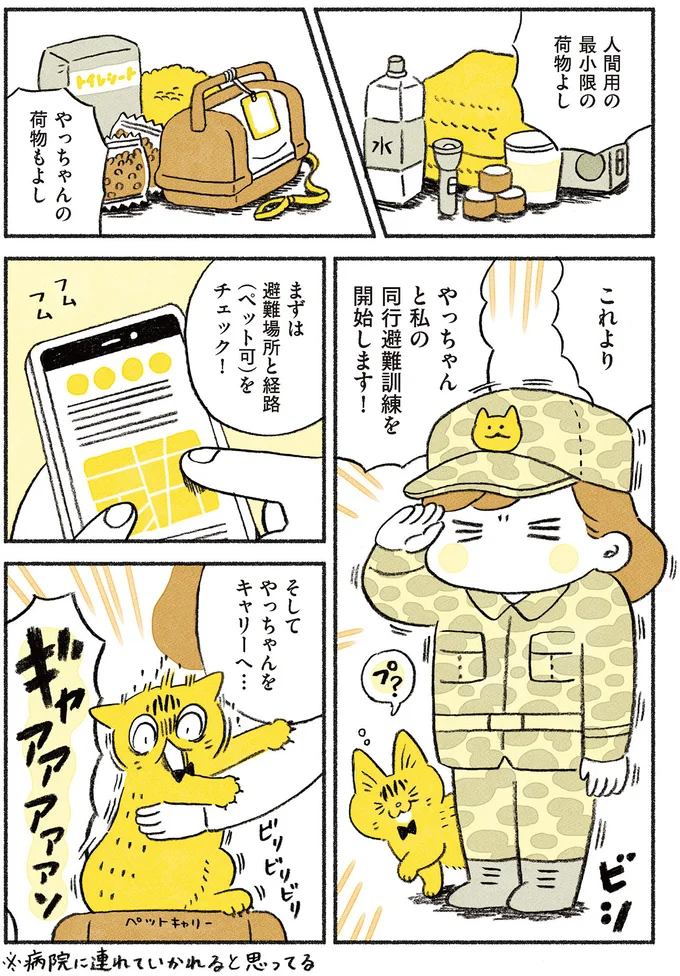 荷物ヨシ！