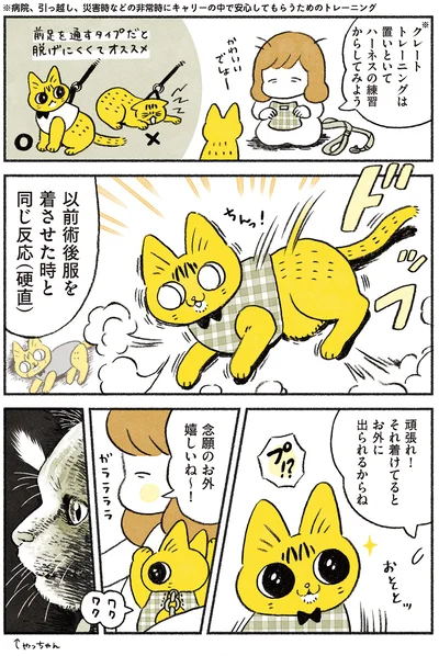 念願のお外嬉しいね～！秒で帰宅しました
